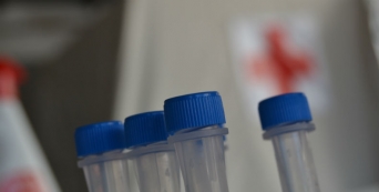 Cruz Vermelha já efetou mais de 40.000 testes à comunidade escolar